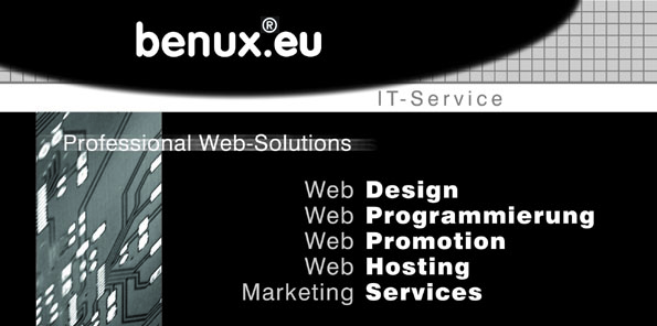 Professional Web Solutions